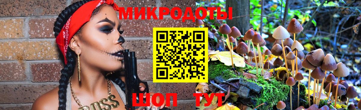 Псилоцибиновые грибы Cubensis Саяногорск