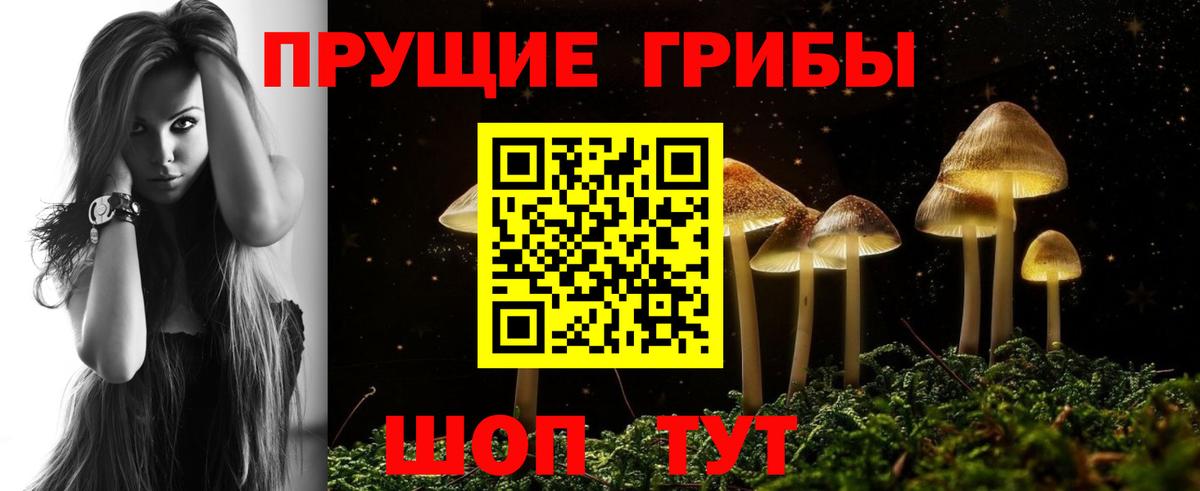 Саяногорск  цена наркотик  Галлюциногенные грибы ЛСД  Вход с VPN  Псилоцибиновые грибы Psilocybe 
